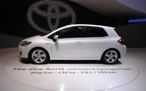 Auris