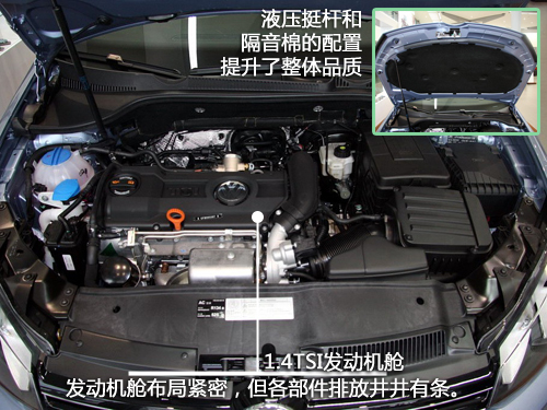 golf6