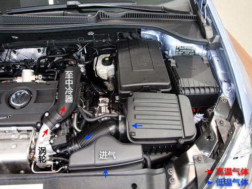 golf6