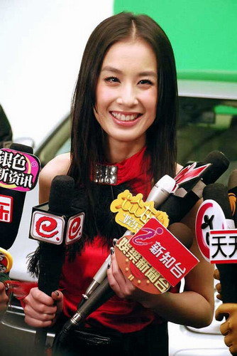 奥运与我同在 多少当红明星当上08火炬手