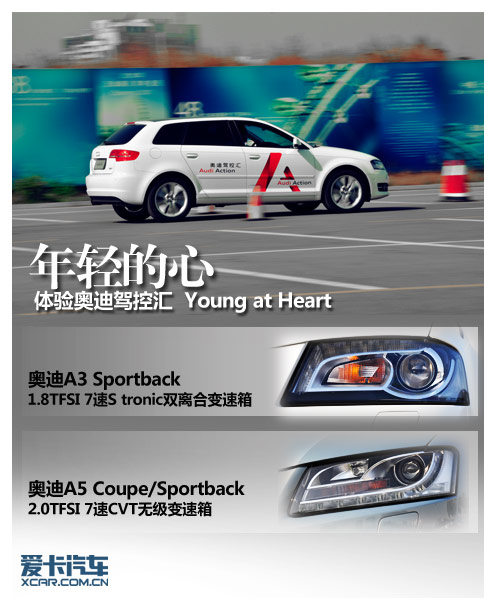 奥迪驾控汇
