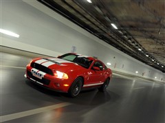 福特 福特(进口) 野马 2011款 GT500 手动豪华型