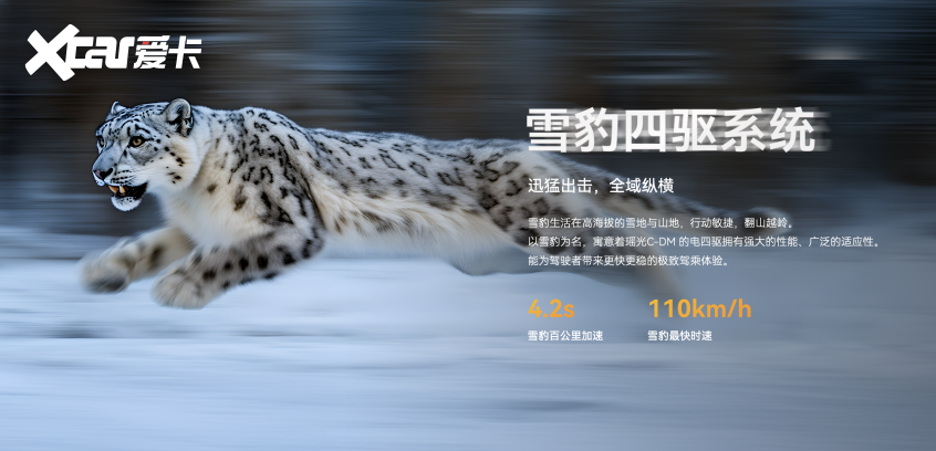 星途瑶光
