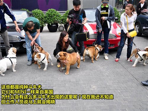比寒风更凛冽 试驾MINI Cooper敞篷版 汽车之家