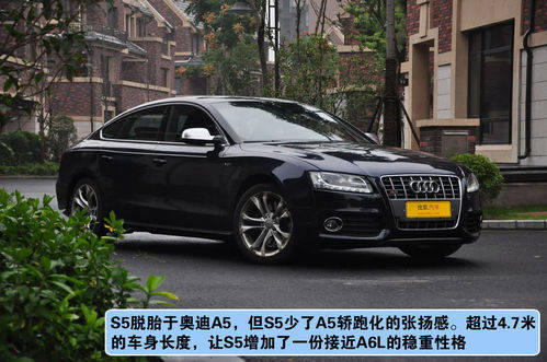 奥迪 S5掀背 实拍 图解 图片