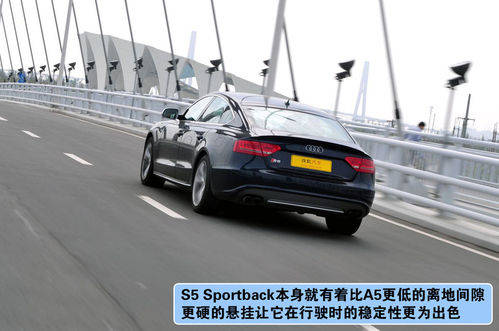 奥迪 S5掀背 实拍 图解 图片