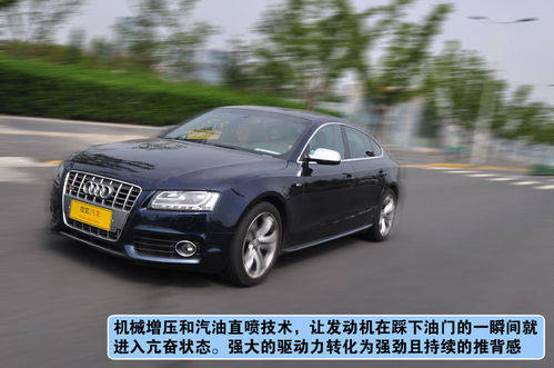 奥迪 S5掀背 实拍 图解 图片