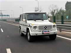 奔驰 奔驰(进口) 奔驰g级 2010款 g 500