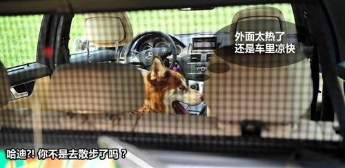 享受路上的时光 测试奔驰C300旅行版 汽车之家