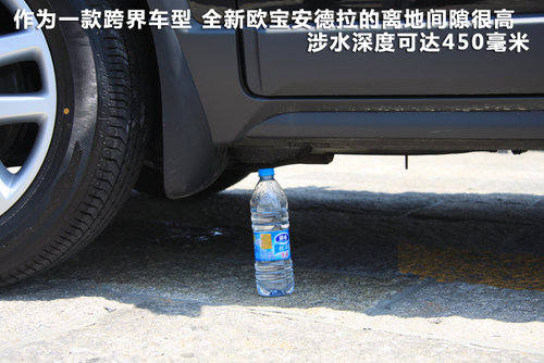 安德拉文章配图